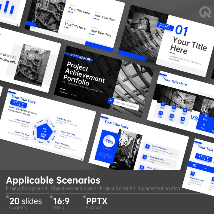 Project Introduction Template